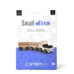 STEM Small Train Kit DIY Motorized Wooden Locomotive for Kids